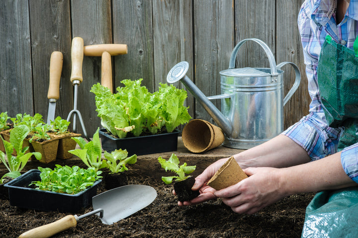 Modern Gardening Tips