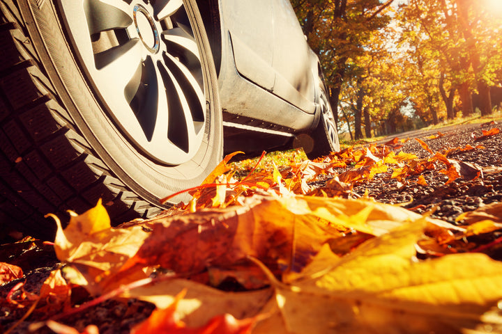 Tips for Fall Car Care