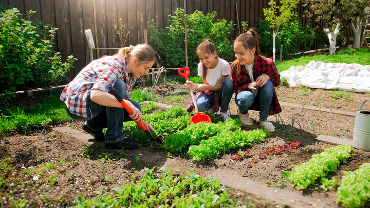 What to Plant in October